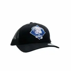 LAZY J RANCHWEAR Lazy J Blue Diamond Hereford Cap.