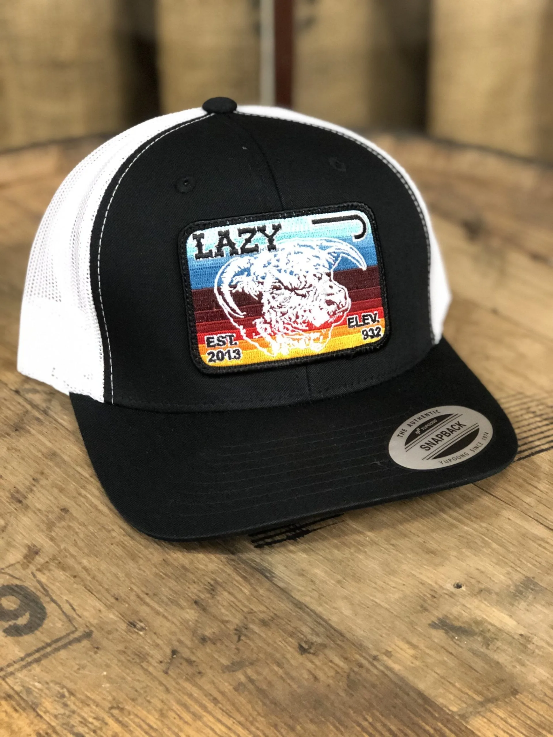 Lazy J Ranchwear Serape Elevation Cap
