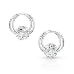 Group Montanta Silversmith Montana Silversmiths Twisting Hold Post Earrings