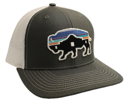 Red Dirt Hat Co. Red Dirt Hat Co Alamo Buffalo Patch Cap