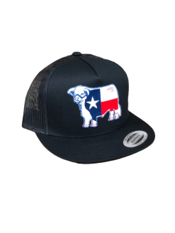 LAZY J RANCHWEAR Lazy J Ranch Wear Black & Black 4" Texas Flag Bull Cap